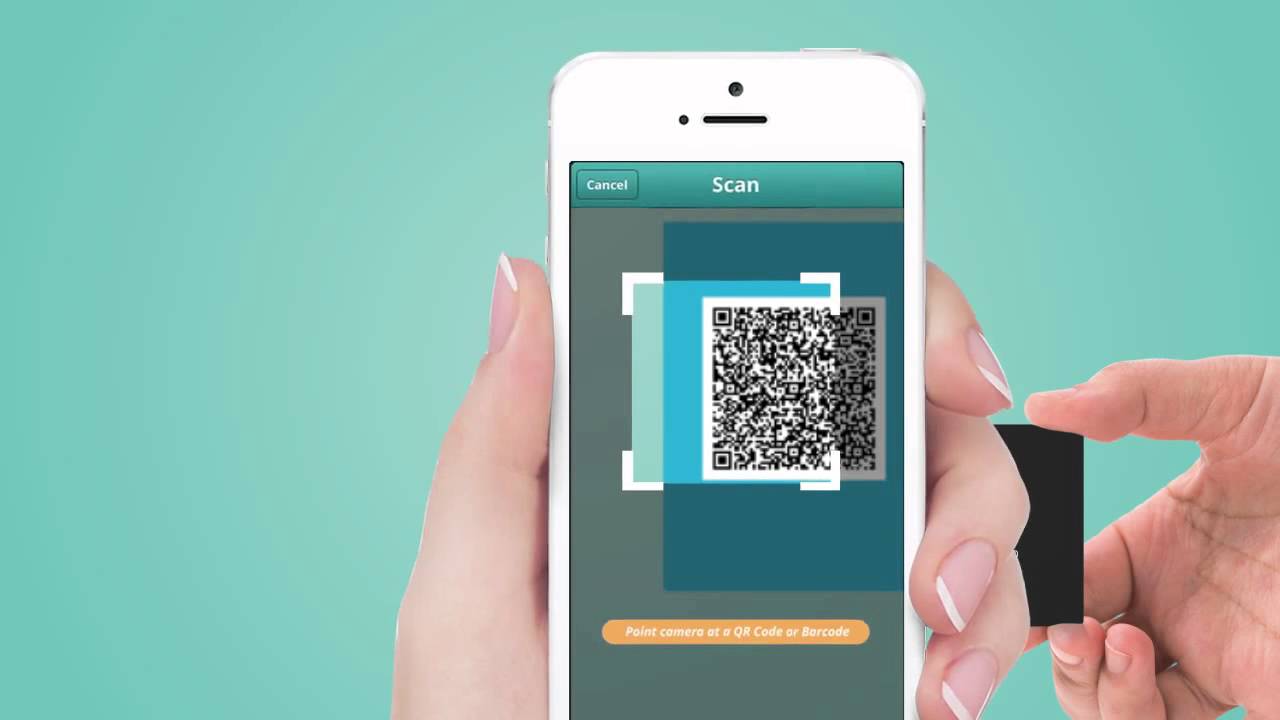 Italweb Agenzia Web Bari, siti internet, cms, wordpress, live card, brand, logo marketing, seo, app maxresdefault Live Card